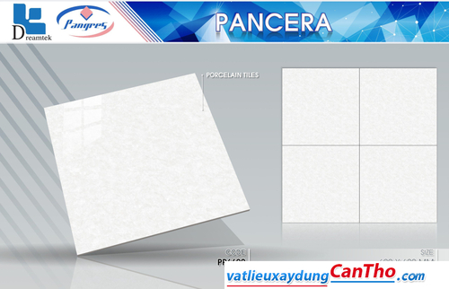 Pancera PP 6629